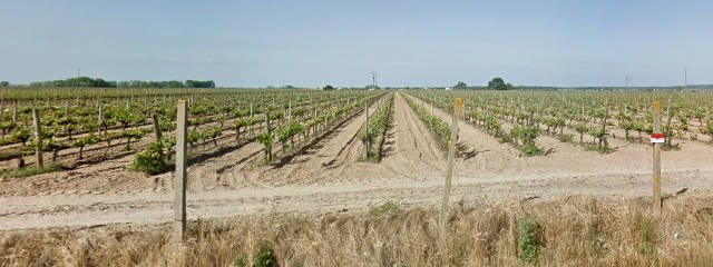 Guia dos Vinhedos de Portugal