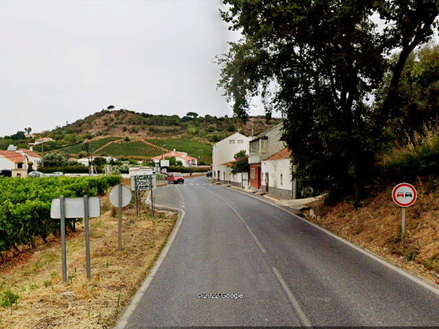 Paisagem e vinhas em Alenquer, Distrito de Lisboa, Centro de Portugal © Google Earth Pro