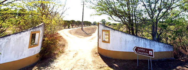 Guia Vinhos de Portugal