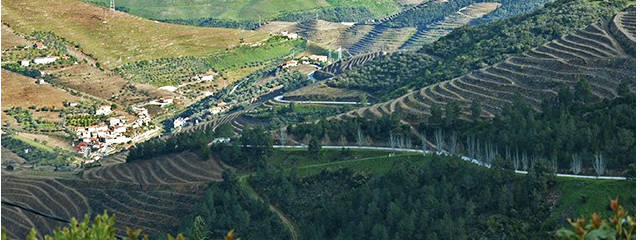 Guia de Portugal