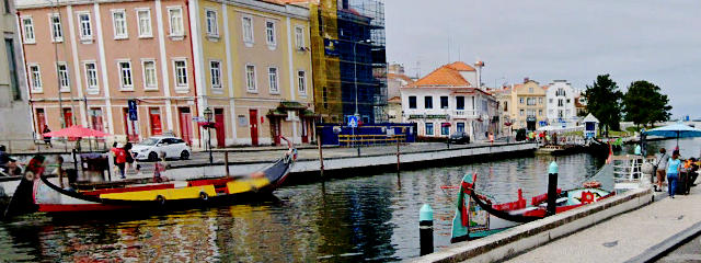 View of the center of Aveiro and the moliceiro boats © Google Earth Pro