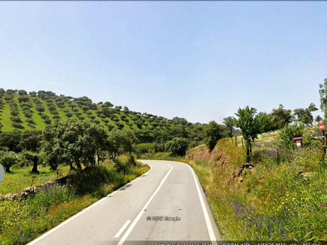 Olival em Barrancos,  (Distrito de Beja), no Baixo Alentejo &copy; GEP, ilustração