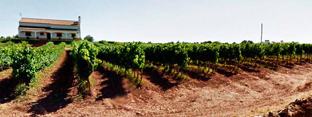 Guia de Portugal