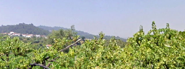 Guia de Castelo de Paiva