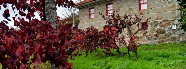 Guia de Castelo de Paiva