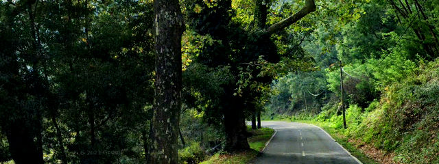 Guia de Castelo de Paiva