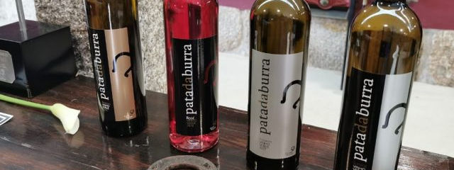 Guia de Castelo de Paiva