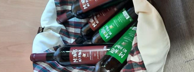 Guia de Castelo de Paiva