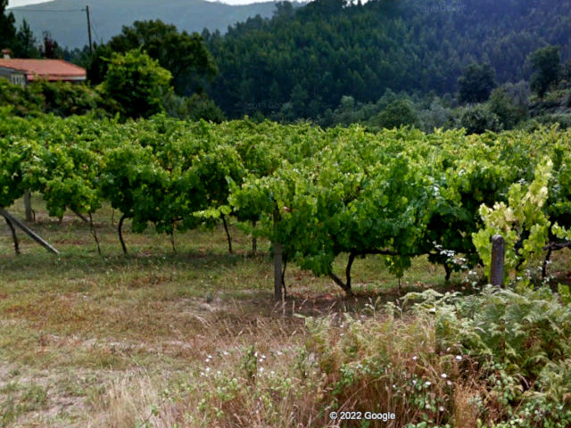 Guia de Castelo de Paiva