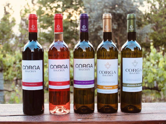 Guia de Castelo de Paiva