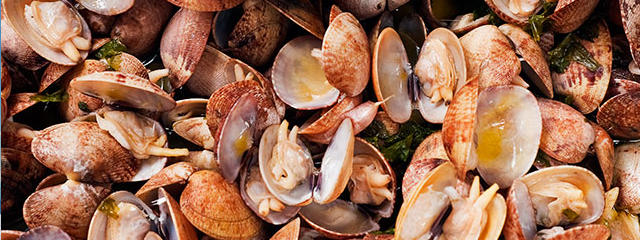 Cocina de Portugal, Guía de Portugal