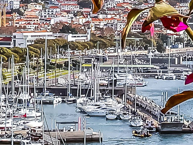 Vista de Funchal, Madeira, Guia de Portugal &copy; Dr Thomas Liptak/Wikipedia