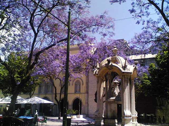Guia de Lisboa