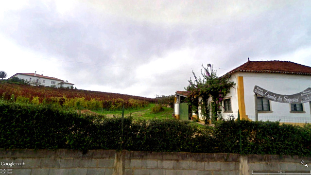 Guide Wines of Portugal