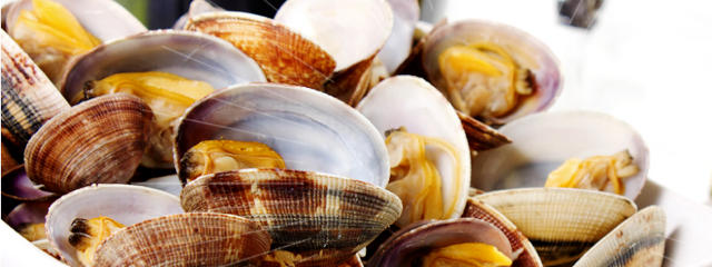 Prato de amêijoas na Cervejaria Ribadouro, Freguesia de Santo Antônio, Lisboa &copy; Cervejaria Ribadouro, ilustração