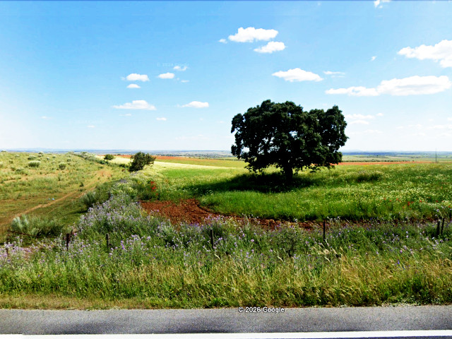 Paisagem de Mourão em São Leonardo na EN256 direção fronteira espanhola (Distrito de Évora), no Alentejo Central &copy; GEP, ilustração