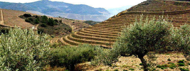 Guia de Portugal