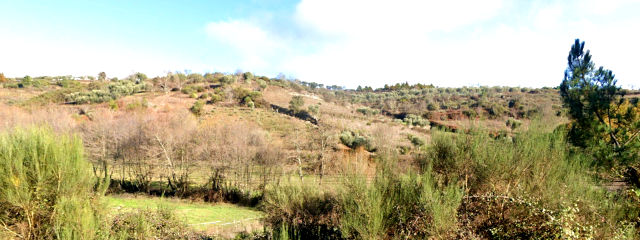 Guia de Portugal
