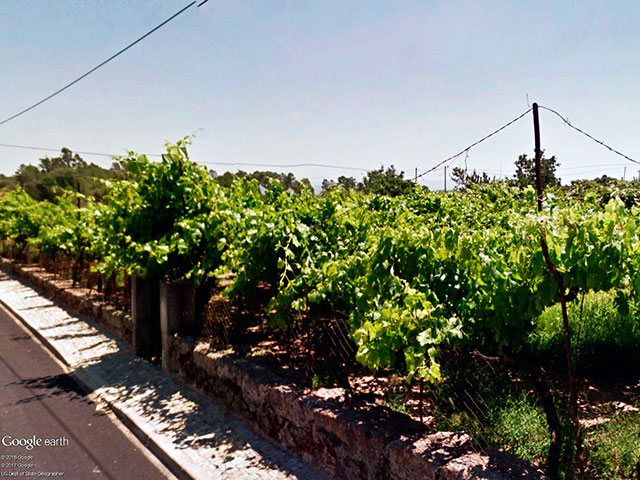 Guia de Trás-os-Montes