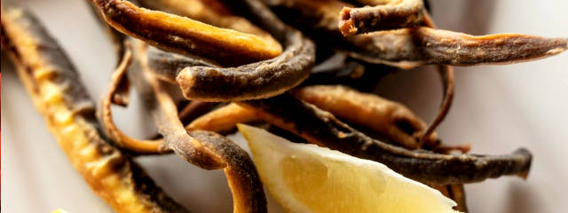 Guia de Azambuja