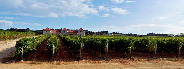 Guia Vinhos de Portugal