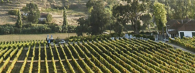 Reiseführer zum Weine von Portugal