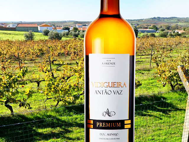 Vinho branco típico da Vidigueira, casta Antão Vaz, sub-região Vidigueira DOC Alentejo &copy; GEP/Internet, ilustração