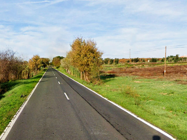 Paisagem na Vidigueira (Distrito de Beja), no Baixo Alentejo &copy; GEP, ilustração
