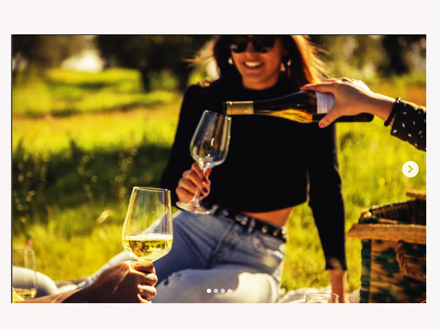 Enotueismo, visitas e degustação de vinhos na Vidigueira, distrito de Beja, sub-região Vidigueira DOC Alentejo &copy; /Adega da Vidigueira, ilustração