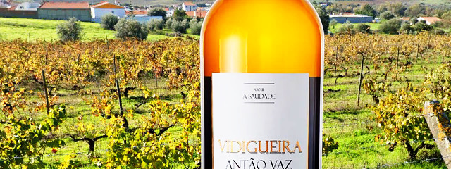 Famoso vinho branco Vidigueira DOC Alentejo (Distrito de Beja), no Baixo Alentejo &copy; GEP / ilustração