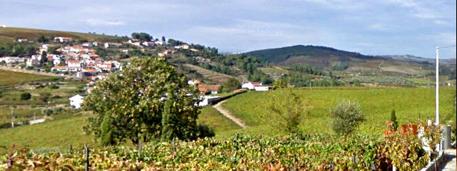 Vinhos do Douro, Guia Vila Real, Portugal