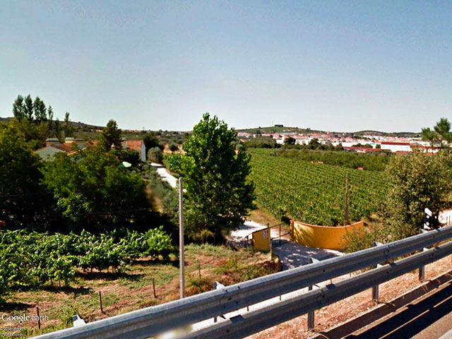 Weine von Portugal Guide