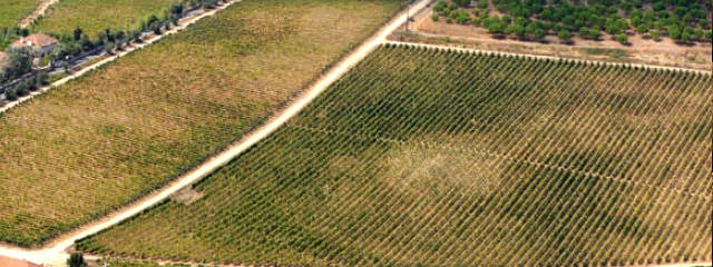 Guia Vinhos de Portugal