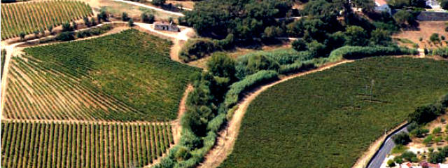 Guia Vinhos de Portugal